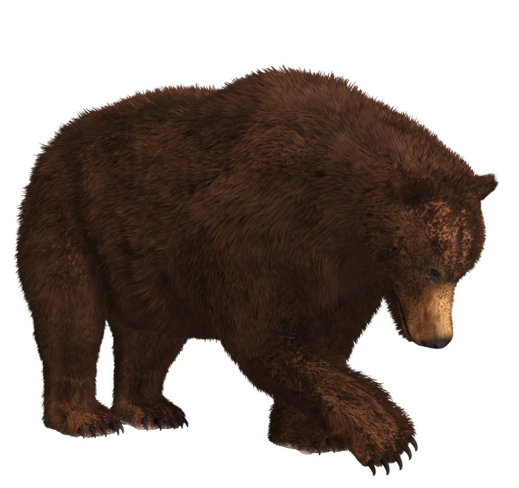 Detail Bear Transparent Nomer 28