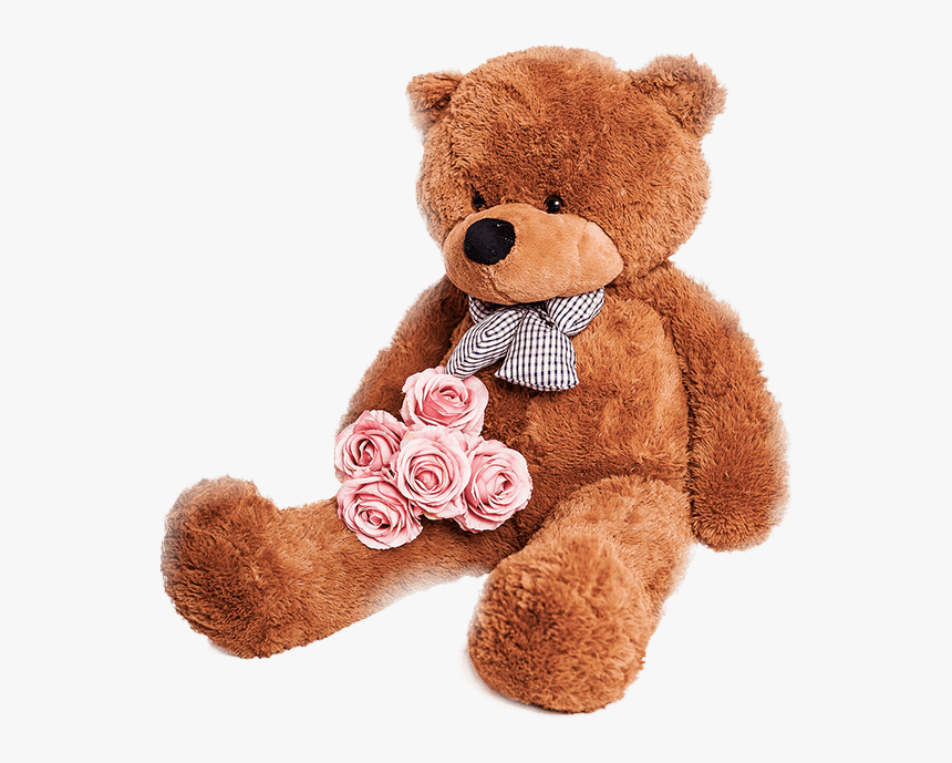 Detail Bear Transparent Nomer 34
