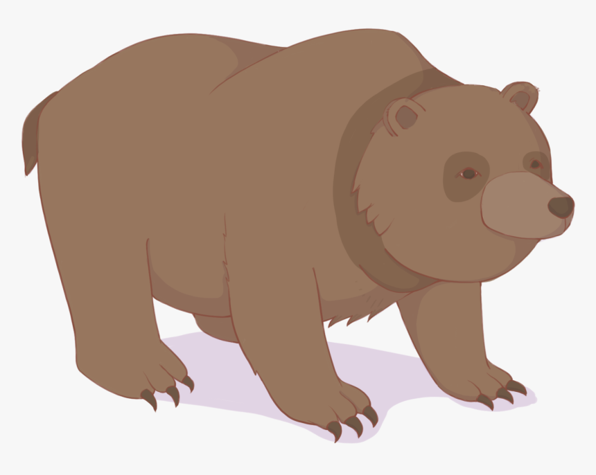 Detail Bear Transparent Nomer 40