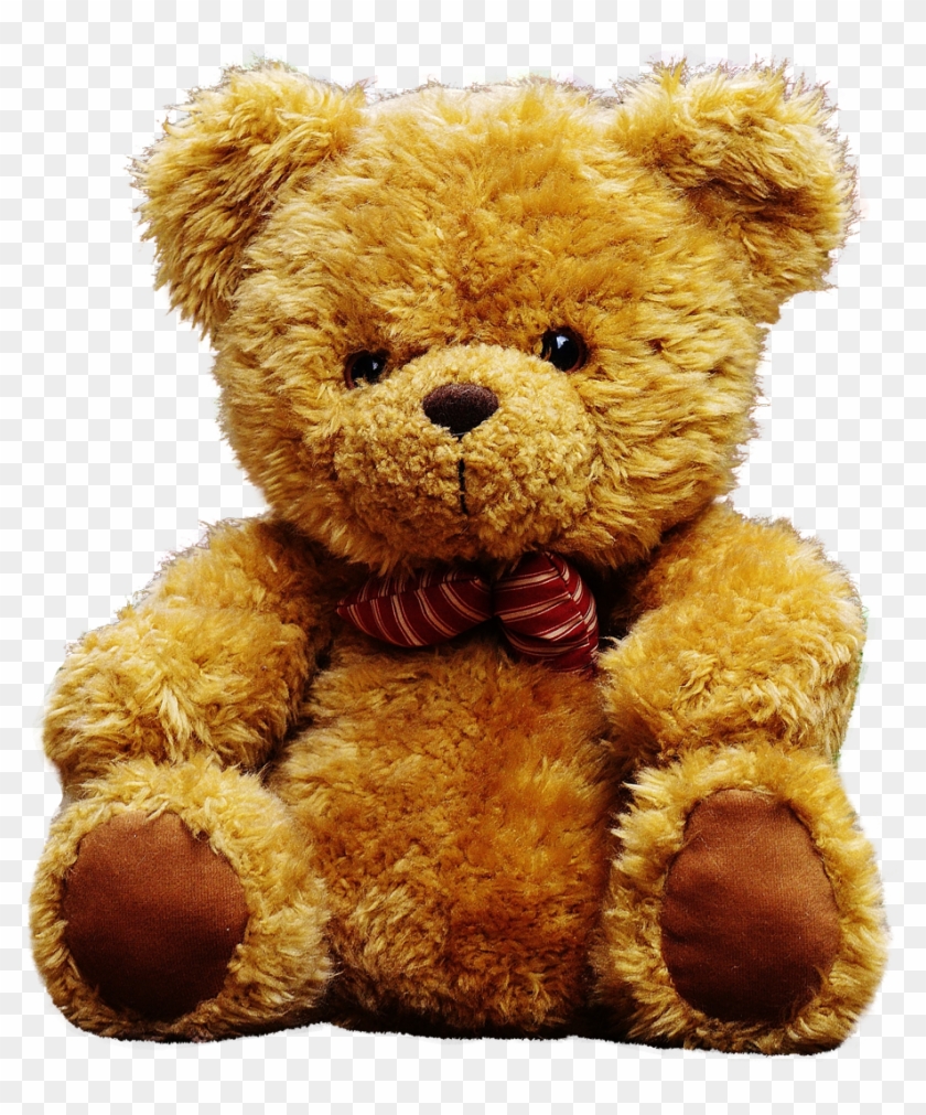 Detail Bear Transparent Nomer 41