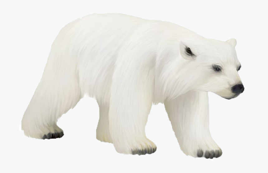 Detail Bear Transparent Nomer 42