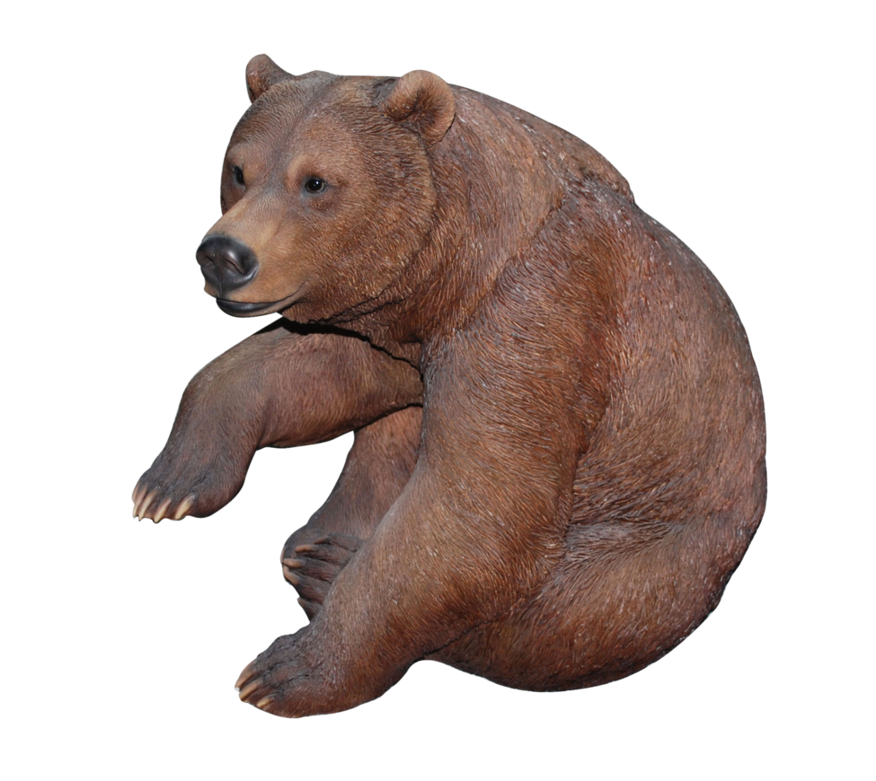 Detail Bear Transparent Nomer 43