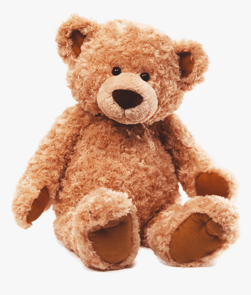 Detail Bear Transparent Nomer 45