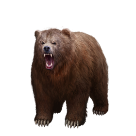 Detail Bear Transparent Nomer 47