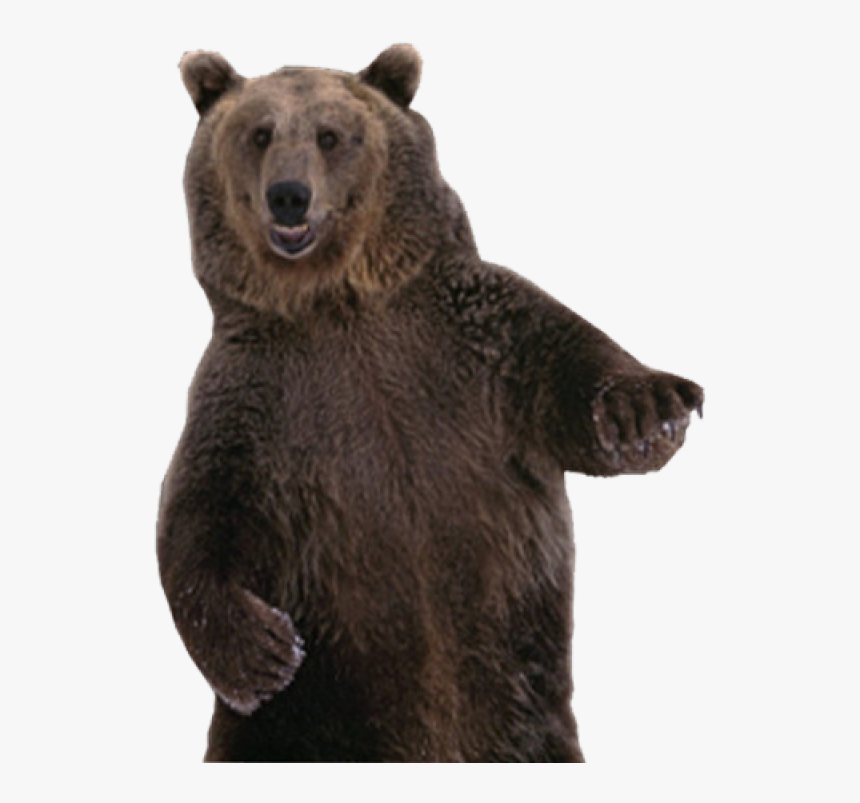 Detail Bear Transparent Background Nomer 30