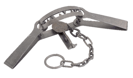 Detail Bear Trap Keychain Amazon Nomer 22