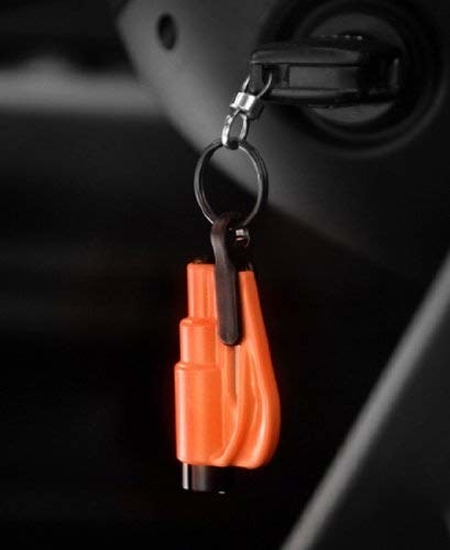 Detail Bear Trap Keychain Amazon Nomer 57