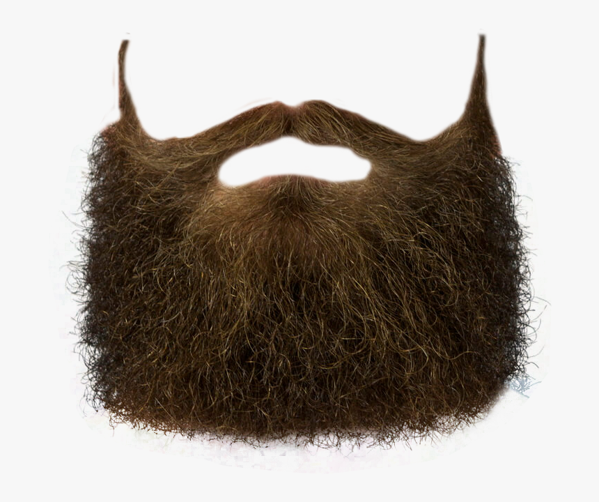 Detail Beard Hair Png Nomer 2