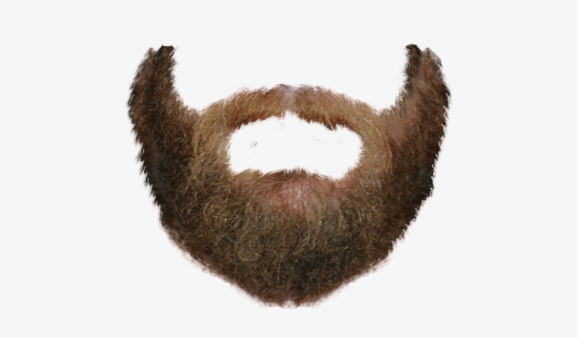 Detail Beard Hair Png Nomer 45