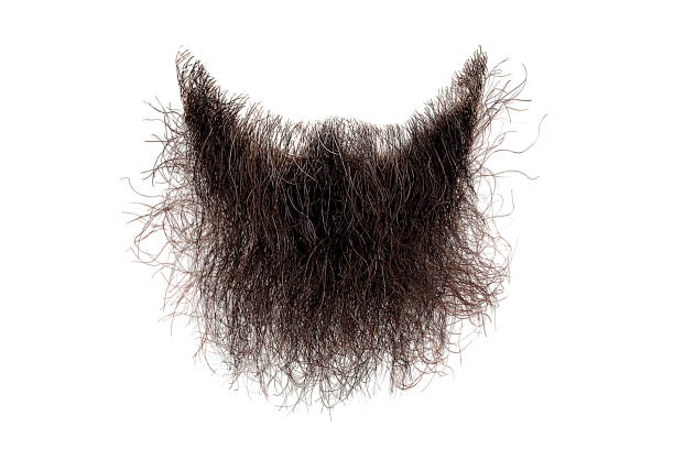 Detail Beard Hair Png Nomer 55