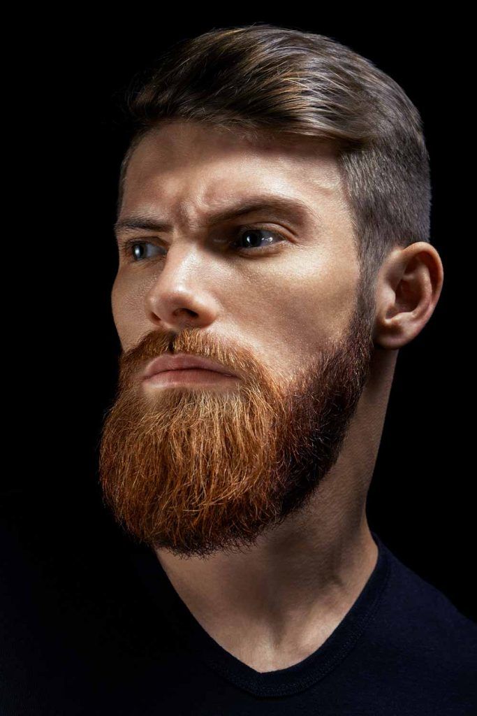 Detail Beard Image Nomer 49