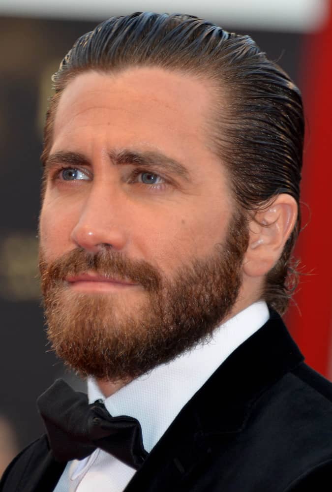 Detail Beard Image Nomer 56