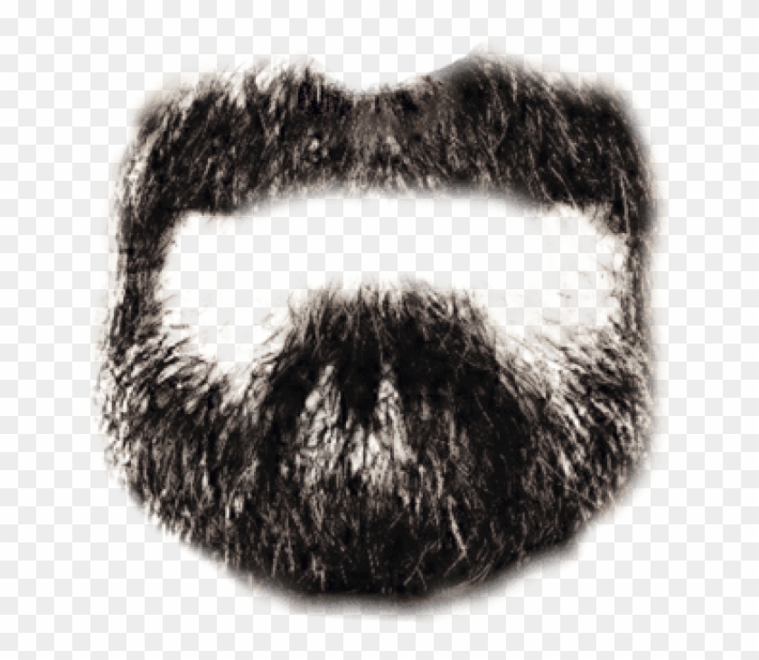 Detail Beard Images Free Nomer 41