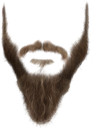 Download Beard Png Nomer 27