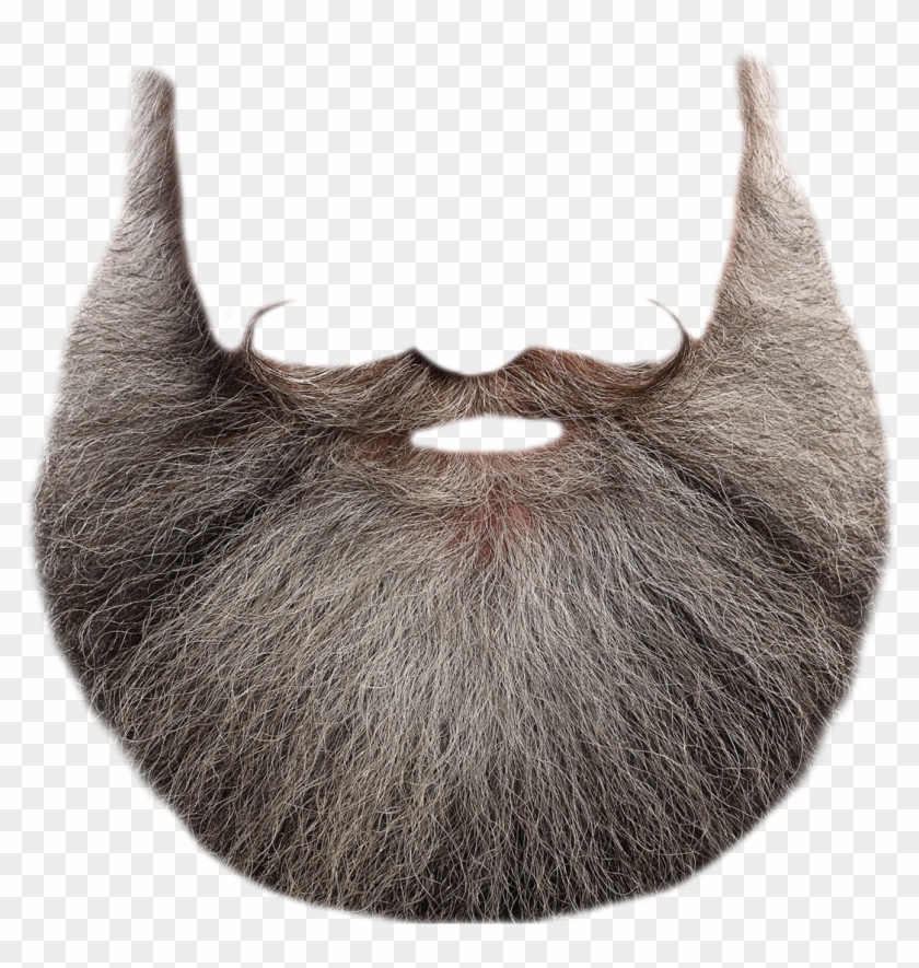 Detail Beard Png Nomer 28