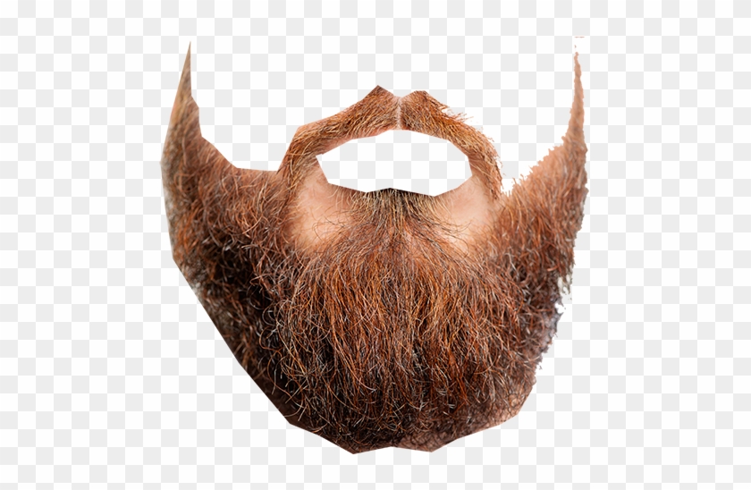 Detail Beard Png Nomer 32