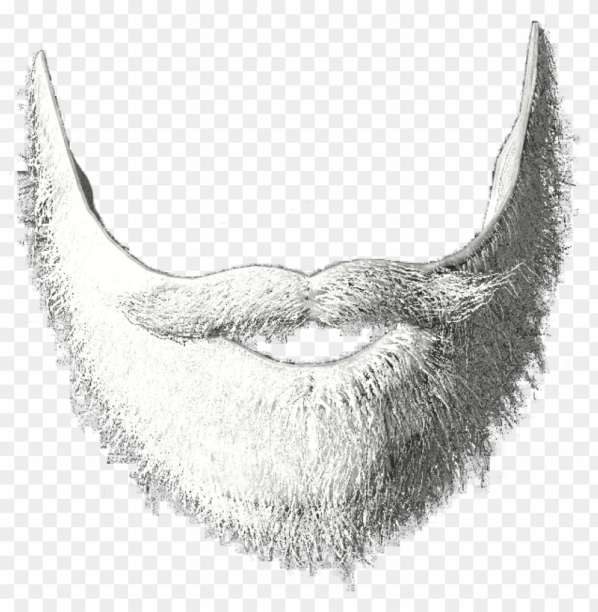 Detail Beard Png Transparent Nomer 17