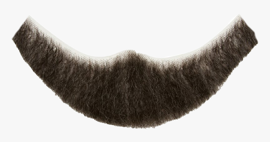 Detail Beard Transparent Nomer 13