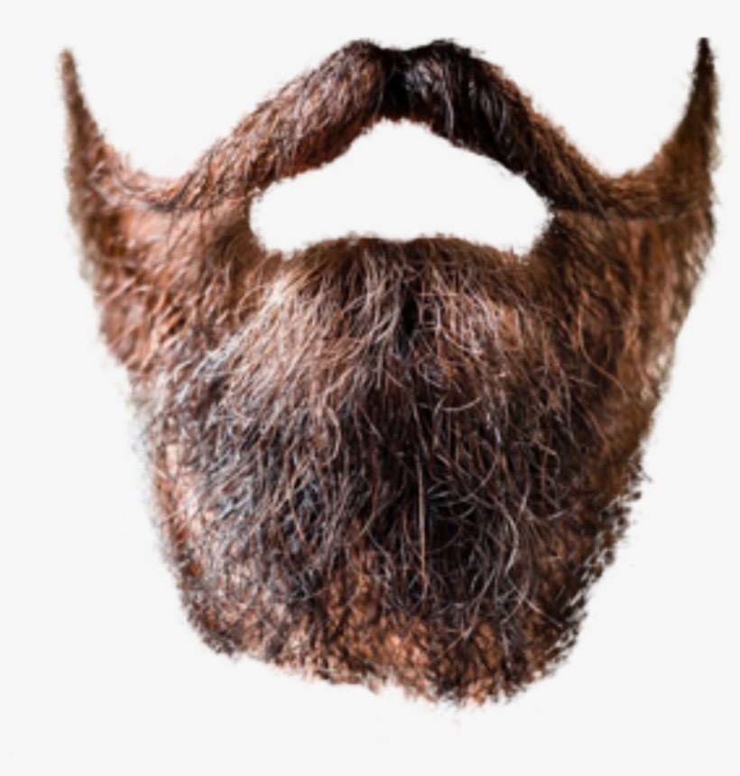 Detail Beard Transparent Nomer 16