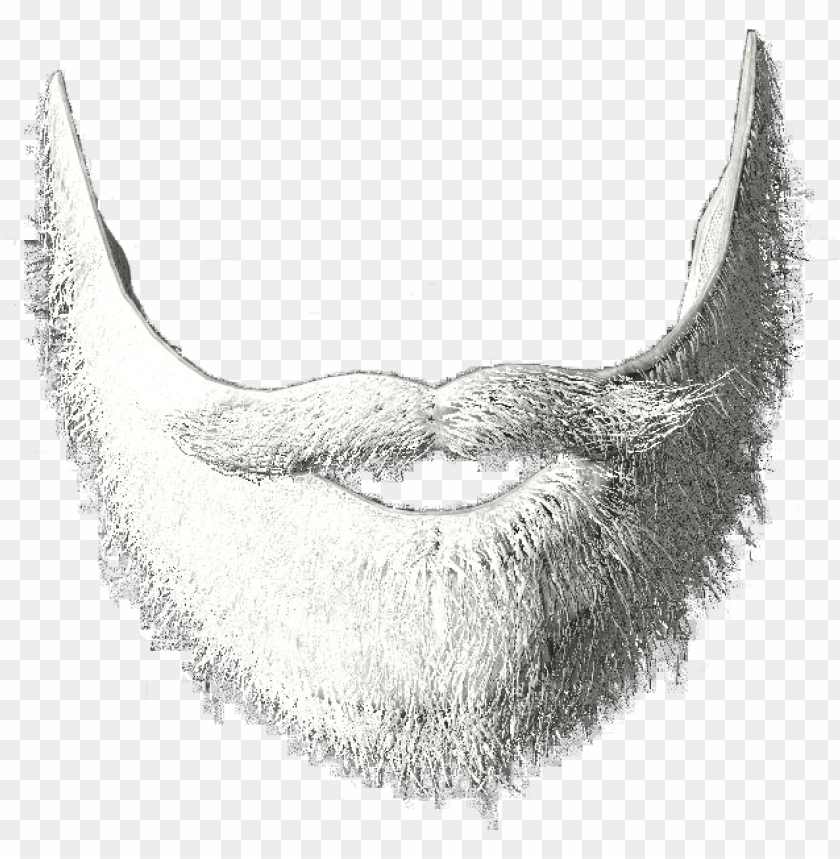 Detail Beard Transparent Background Nomer 16