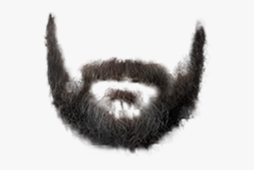 Detail Beard Transparent Background Nomer 4