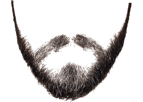 Detail Beard Transparent Background Nomer 43