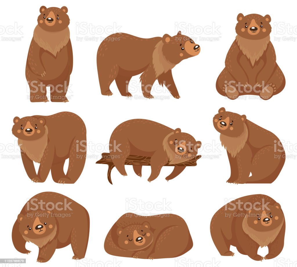 Detail Bears Animals Pictures Nomer 27