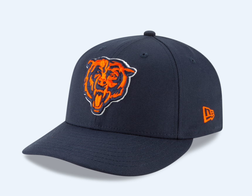 Detail Bears Hat Png Nomer 24