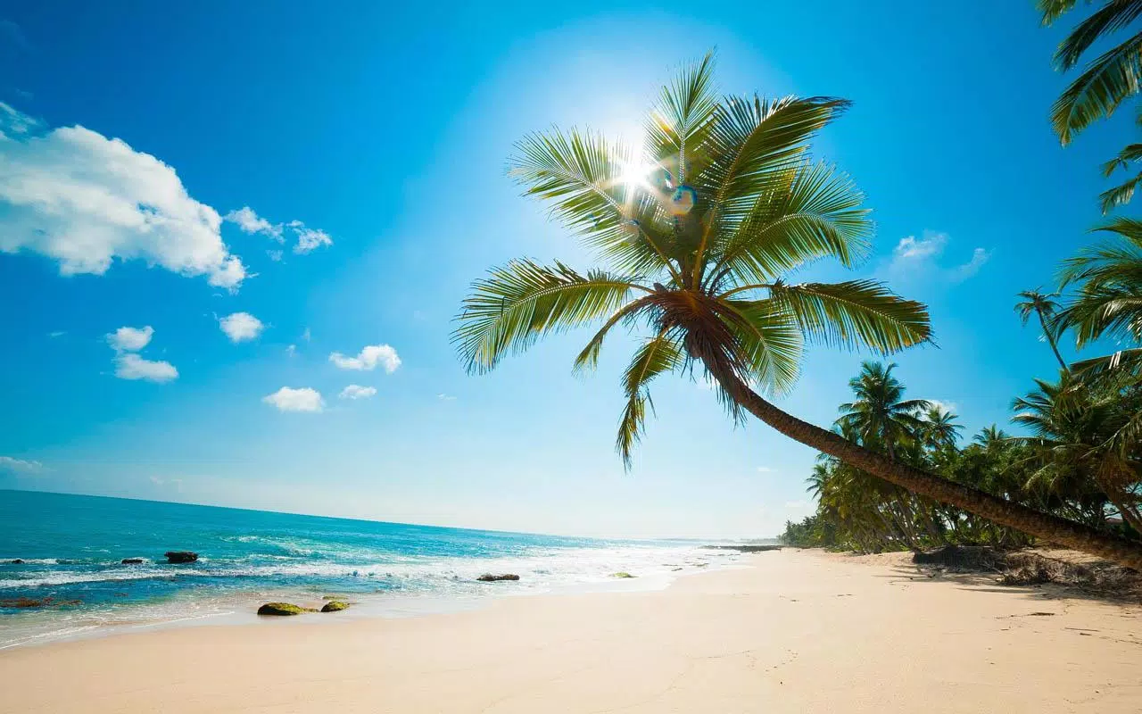 Detail Beautiful Beach Wallpaper Nomer 55