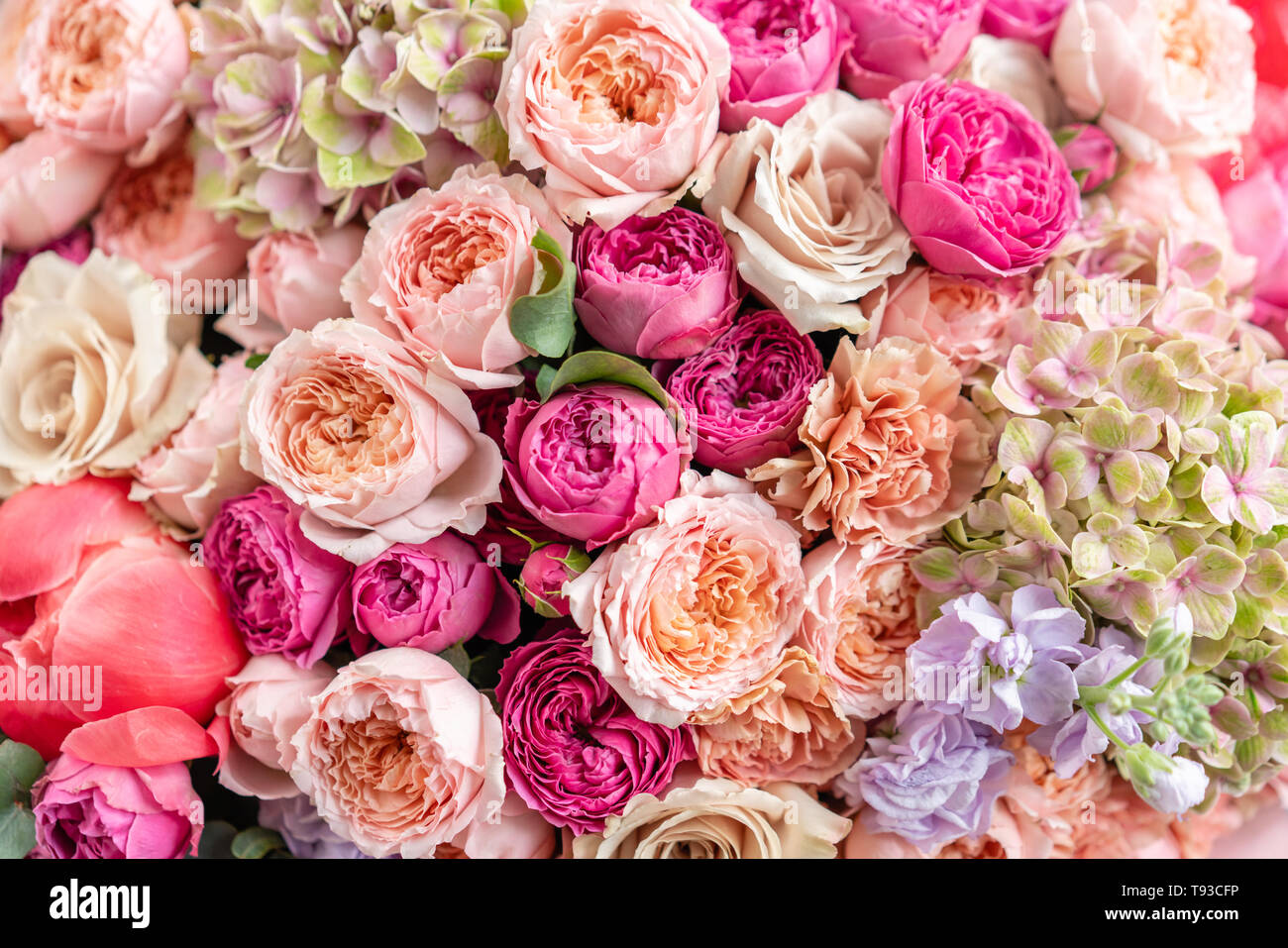 Detail Beautiful Flowers Bouquet Images Nomer 32