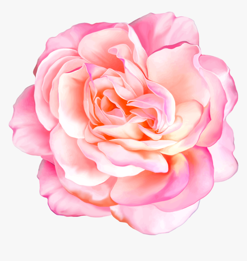 Detail Beautiful Flowers Png Nomer 31