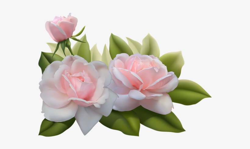 Detail Beautiful Flowers Png Nomer 54