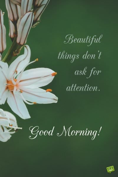 Detail Beautiful Morning Quotes Nomer 45