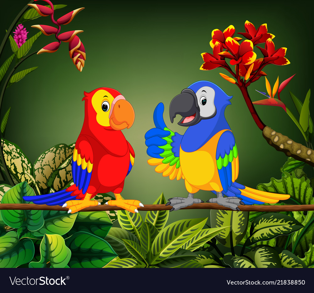 Detail Beautiful Parrot Pictures Nomer 15