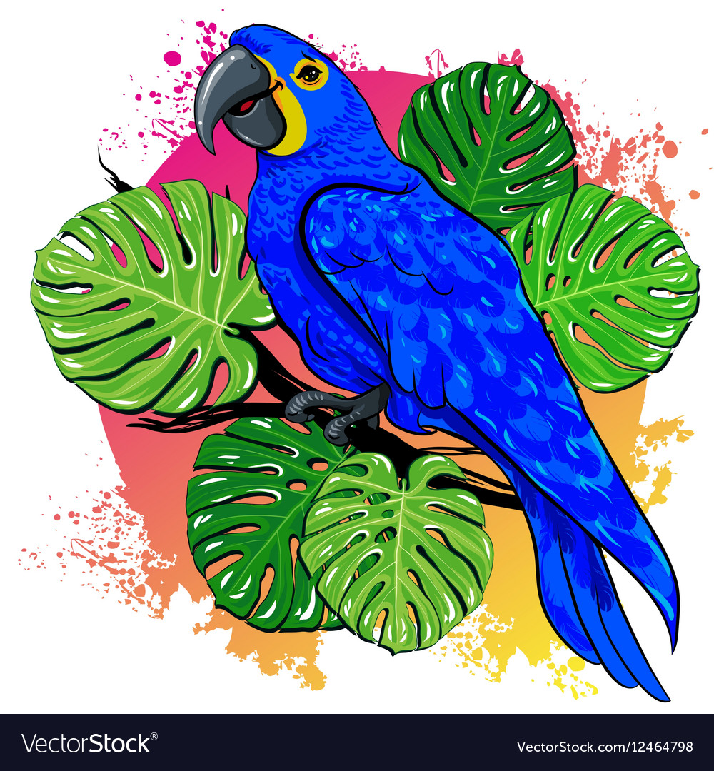 Detail Beautiful Parrot Pictures Nomer 33