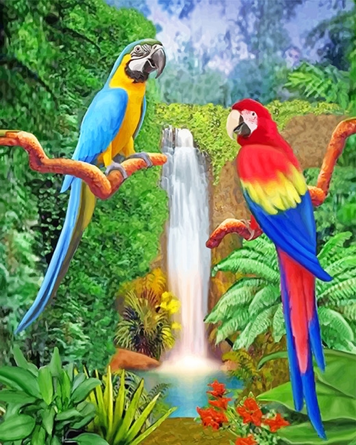 Detail Beautiful Parrot Pictures Nomer 38