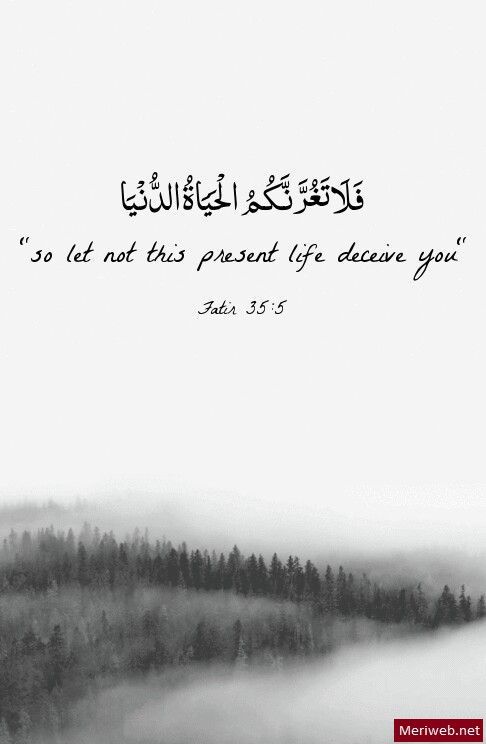 Beautiful Quran Quotes - KibrisPDR