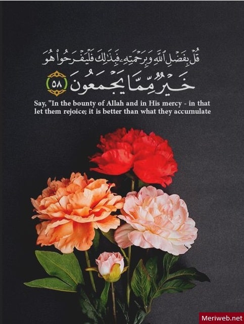 Detail Beautiful Quran Quotes Nomer 50