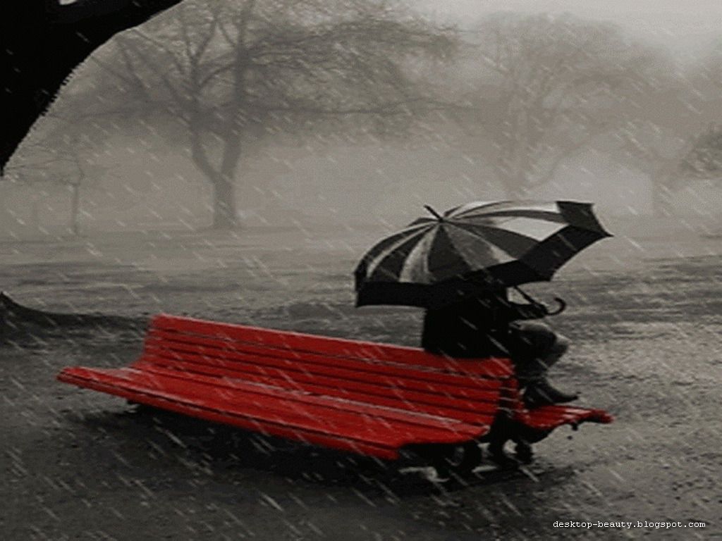 Detail Beautiful Rain Wallpapers For Desktop Nomer 48