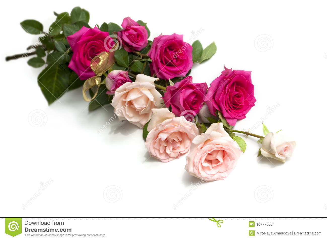 Detail Beautiful Rose Image Download Nomer 40