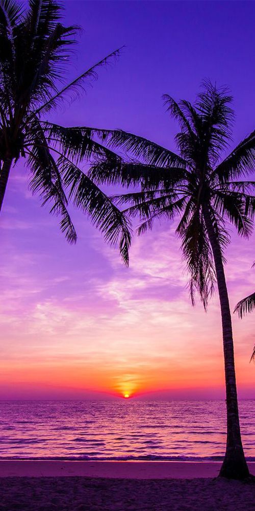 Detail Beautiful Sunset Wallpaper Nomer 16