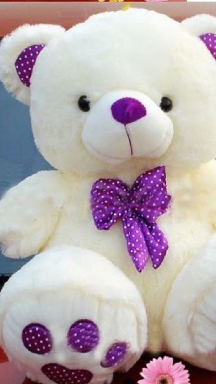 Detail Beautiful Teddy Bear Images Nomer 4