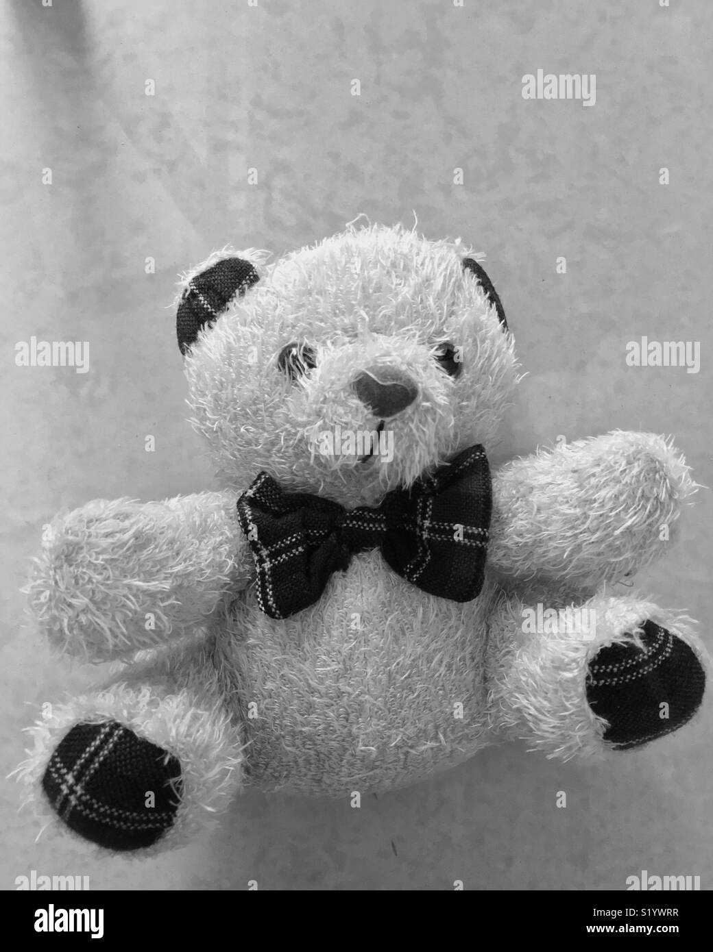 Detail Beautiful Teddy Bear Images Nomer 31