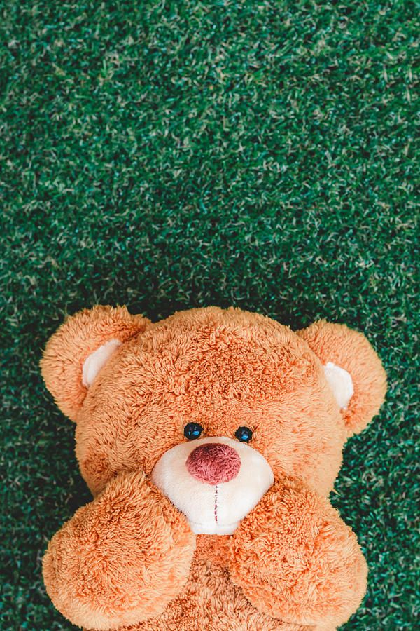 Detail Beautiful Teddy Bear Images Nomer 35