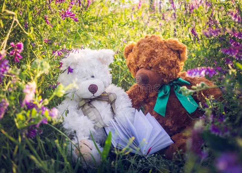 Download Beautiful Teddy Bear Images Nomer 36