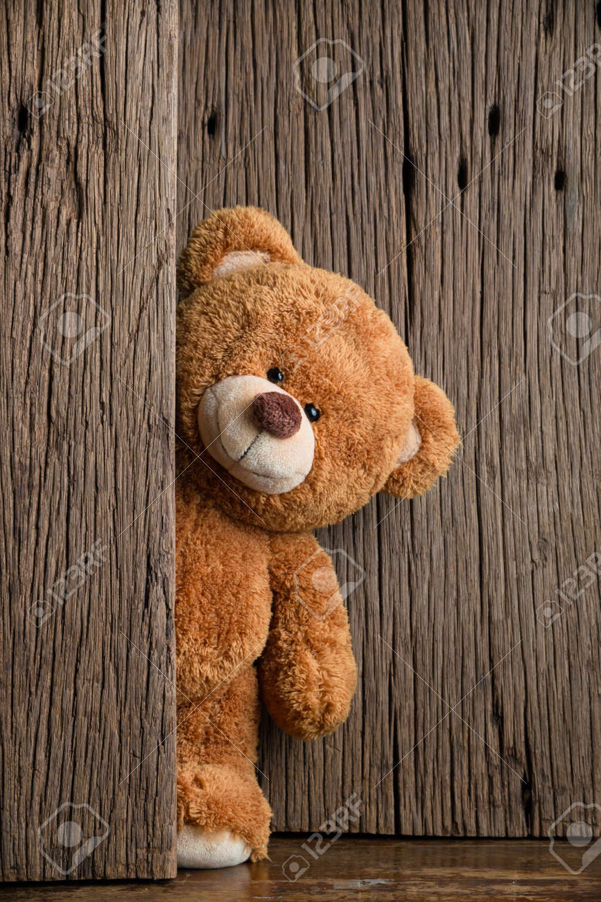 Detail Beautiful Teddy Bear Images Nomer 39