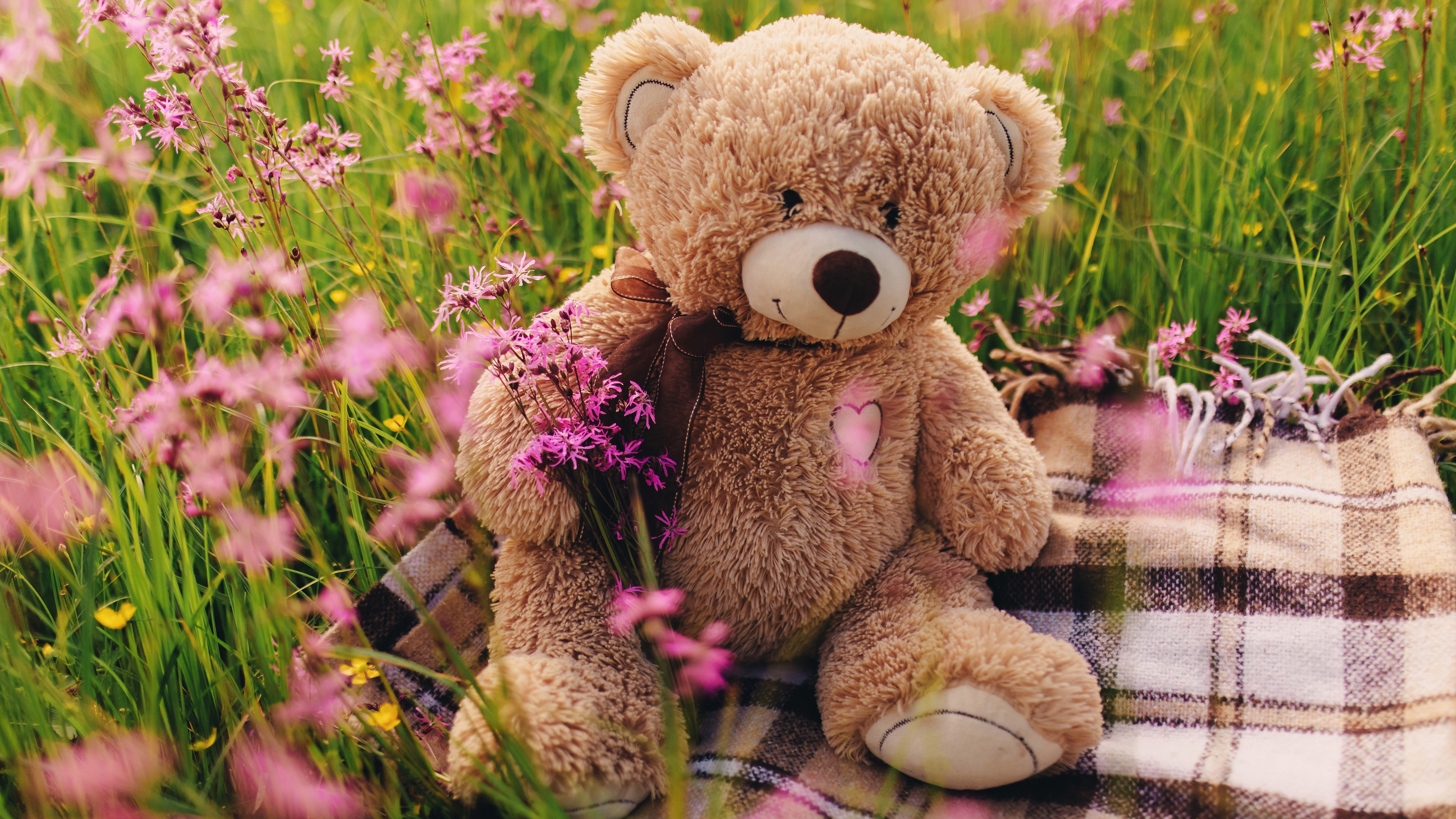 Detail Beautiful Teddy Bear Images Nomer 42