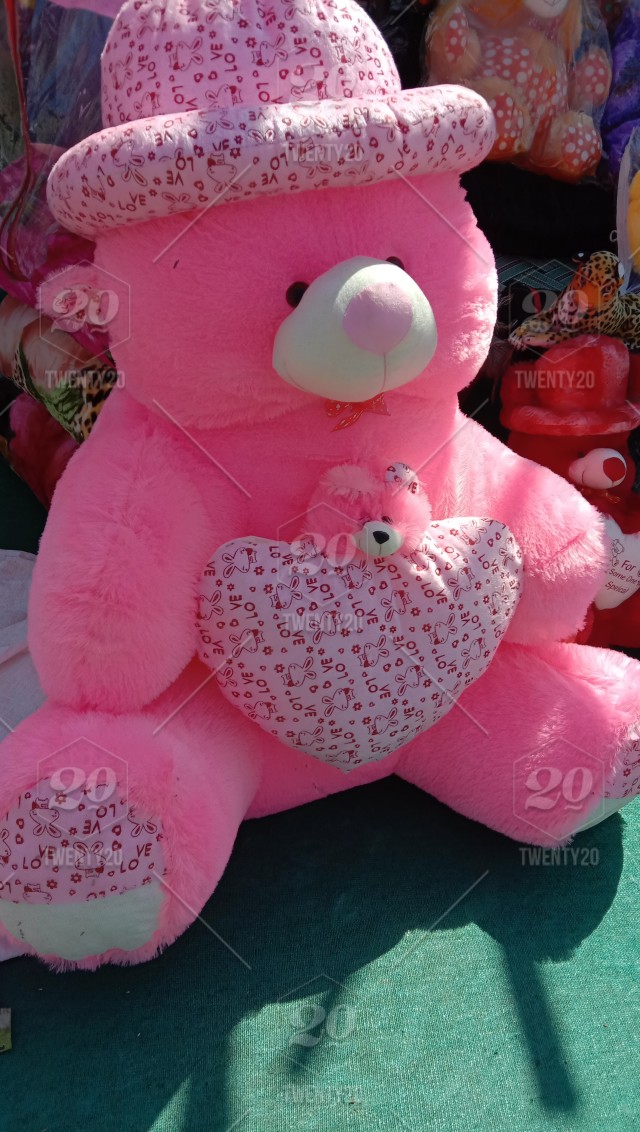 Detail Beautiful Teddy Bear Images Nomer 46