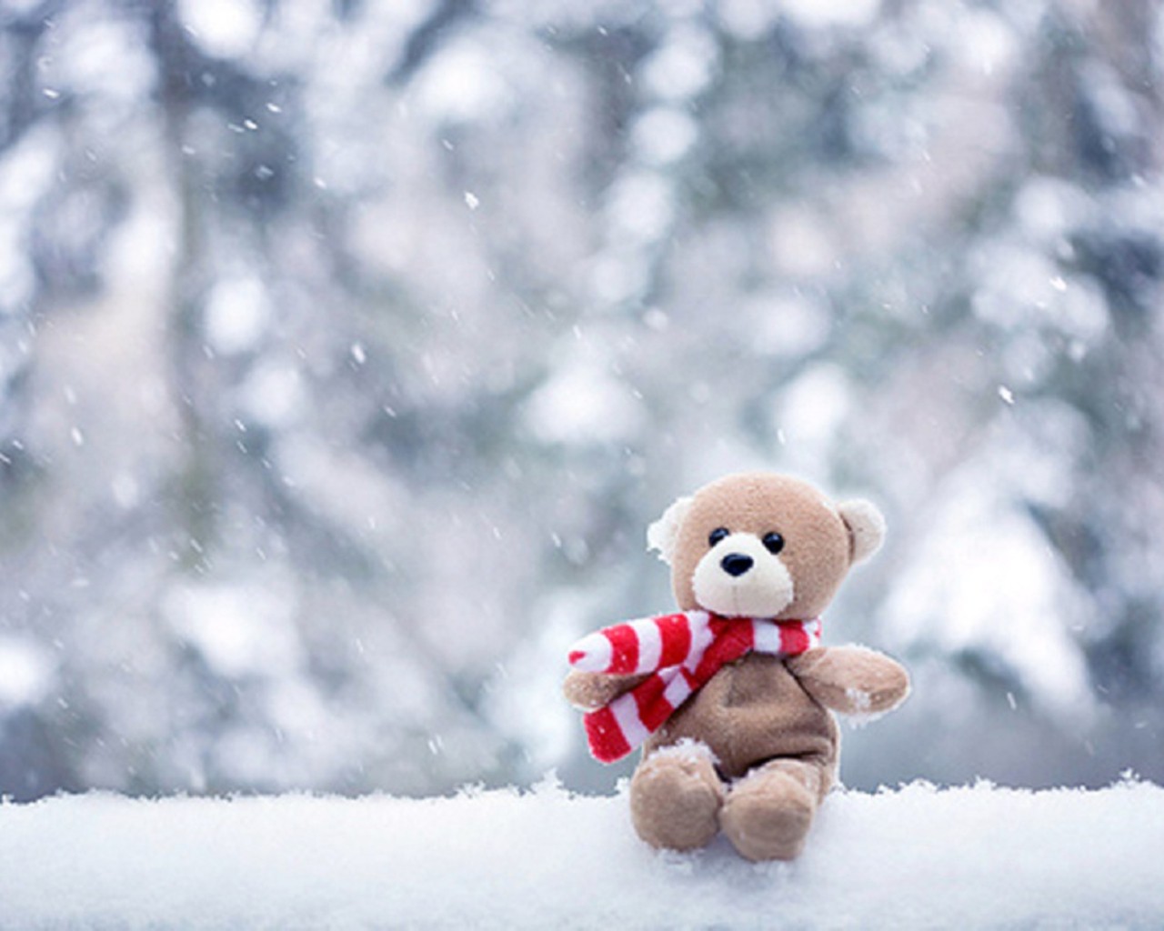 Detail Beautiful Teddy Bear Images Nomer 48