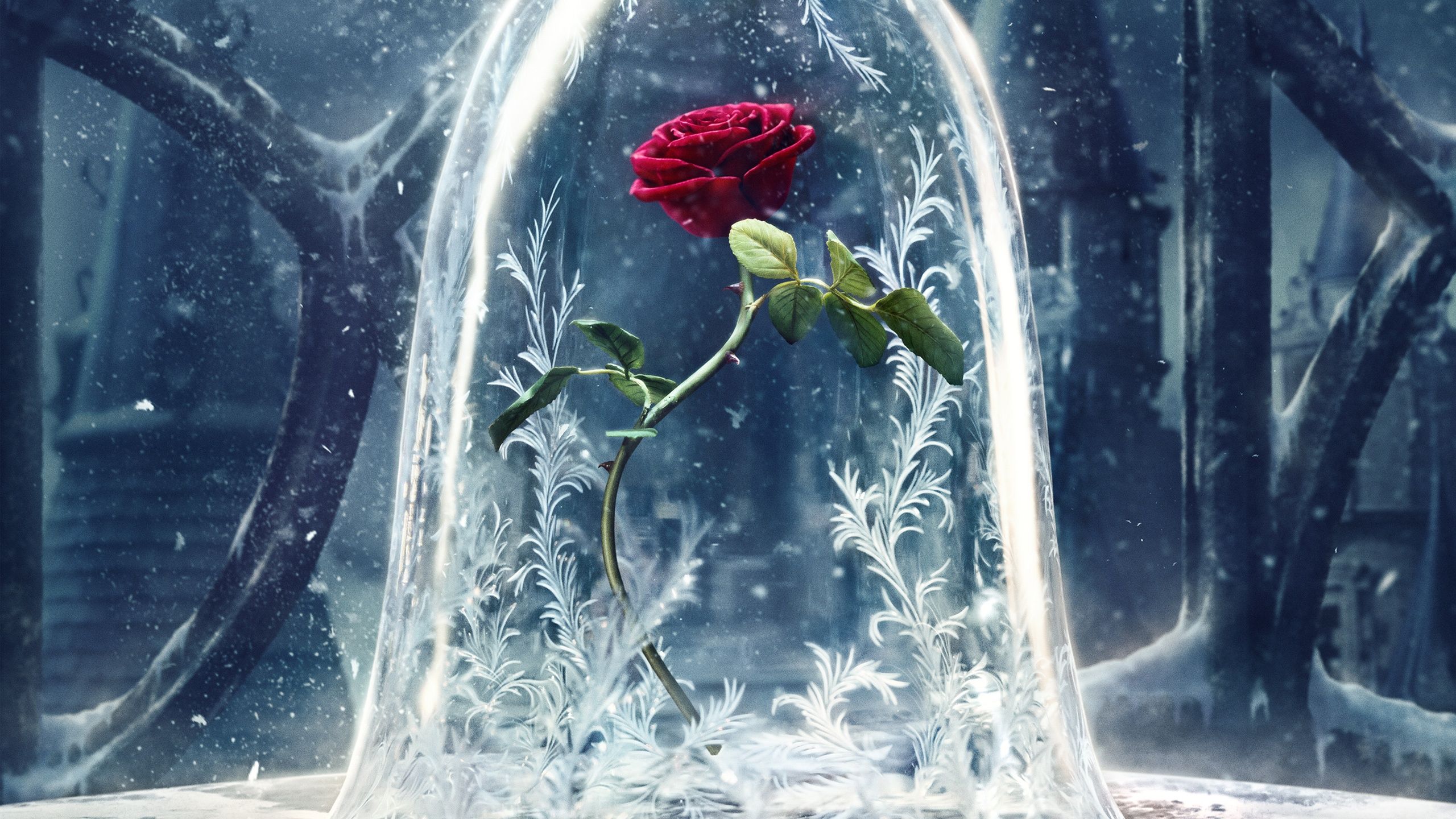 Detail Beauty And The Beast Hd Wallpaper Nomer 40